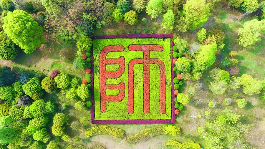 换个角度看衡师